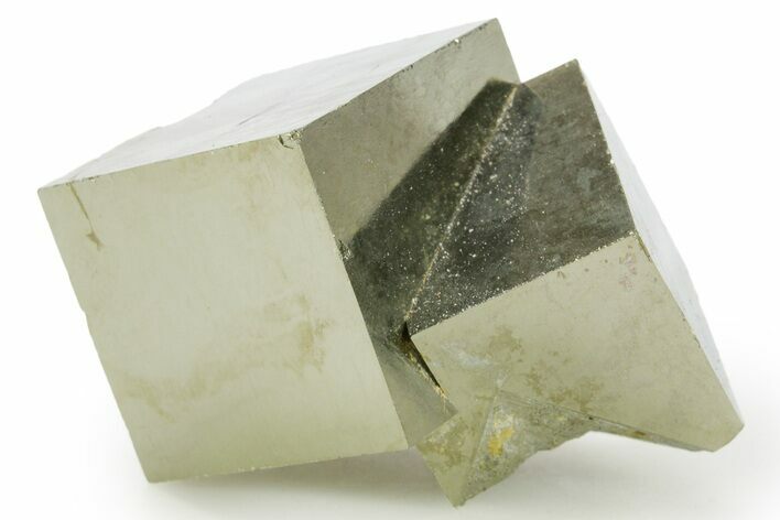 Shiny, Natural Pyrite Cube Cluster - Navajun, Spain #361906